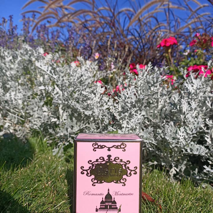 Paris mon Amour - Vendita all'ingrosso Profumi/Eau de toilette - PARIS MON AMOUR Romantic Montmartre Profumo da donna 50 ml5