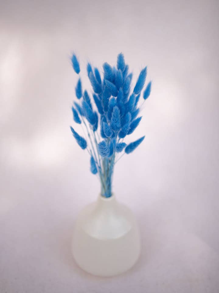 Royal Blue Boho Bunny Tail Dried Flowers for wholesale by You Floral