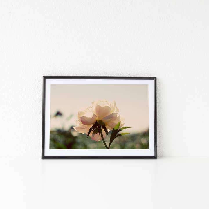 Showy Flowers Print for wholesale by Jessica Nichols Art