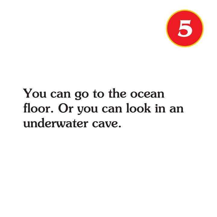 Choose Your Own Adventure - Wholesale Baby & Toddler Book (0-2) - Your First Adventure: Journey Under The Sea, Baby Book5