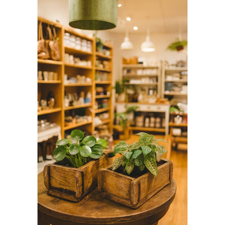 Vaso de Molde de Tijolo em Teca Recuperada por atacado de Asia West