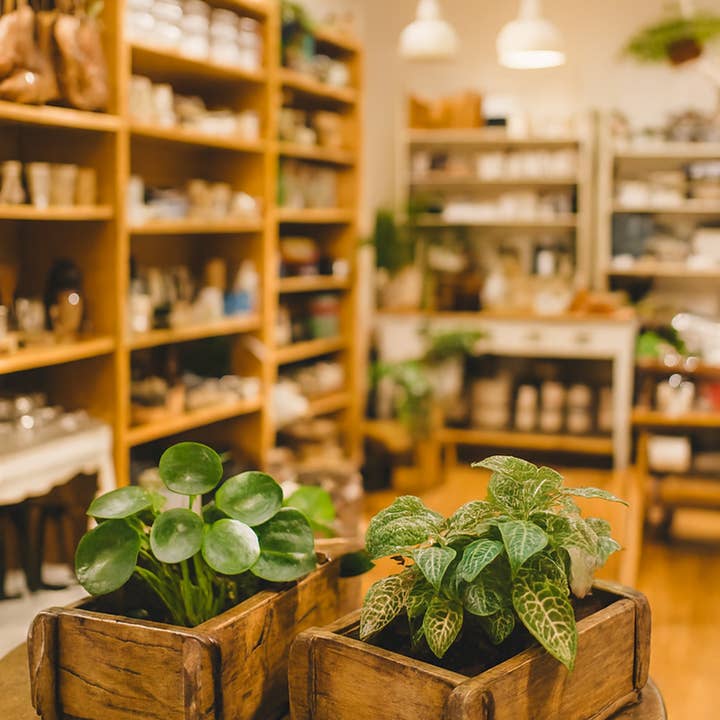 Reclaimed Teak Brick Mold Planter for wholesale by Asia West