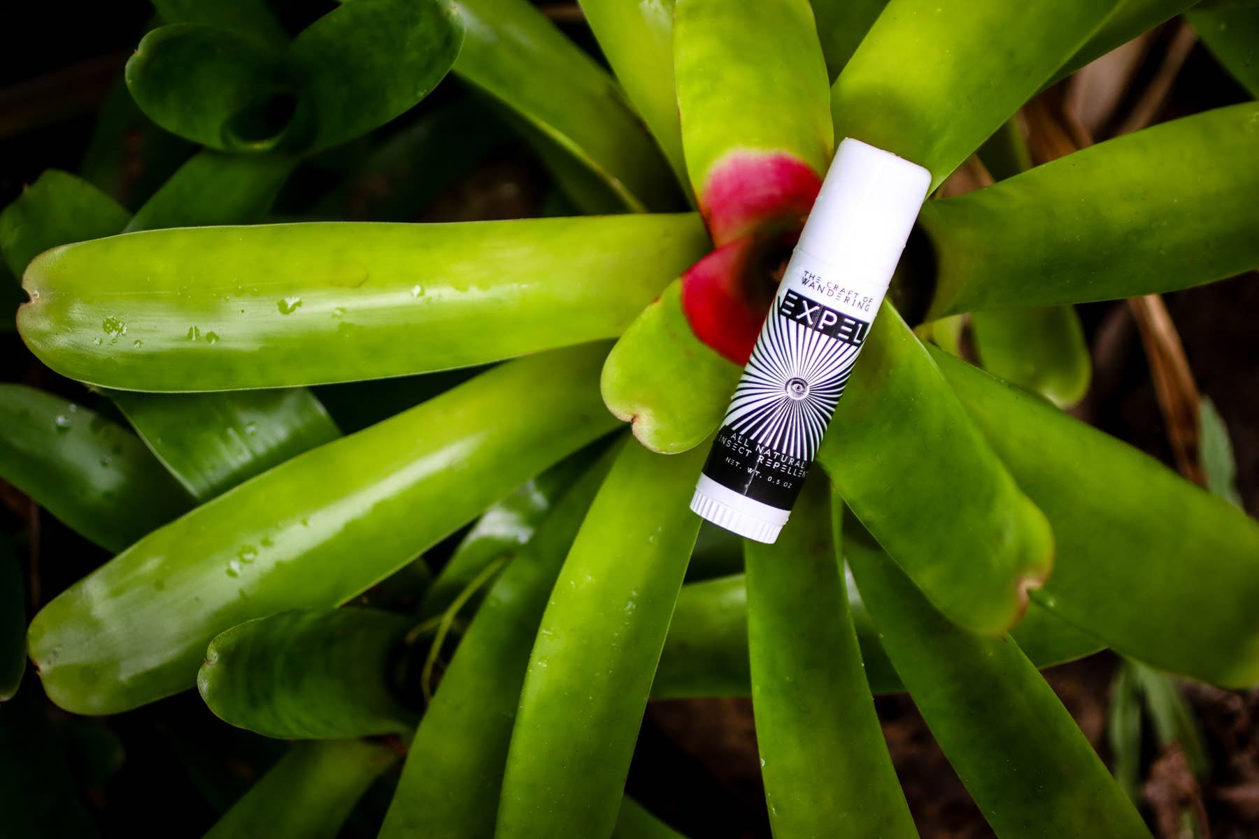 The Craft of Wandering - Vendita all'ingrosso Repellenti per insetti - EXPEL - repellente per insetti completamente naturale5