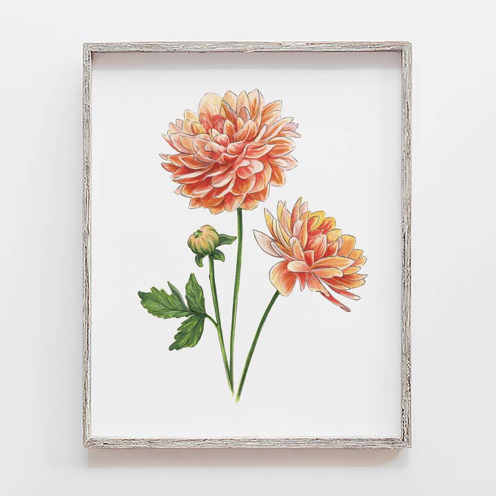 Peach Dahlia Flower Art Print for wholesale by JesMarried