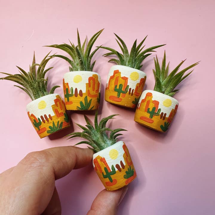 O'Berry's Succulents - Wholesale Plant Pot - Baja Desert Mini Planter2