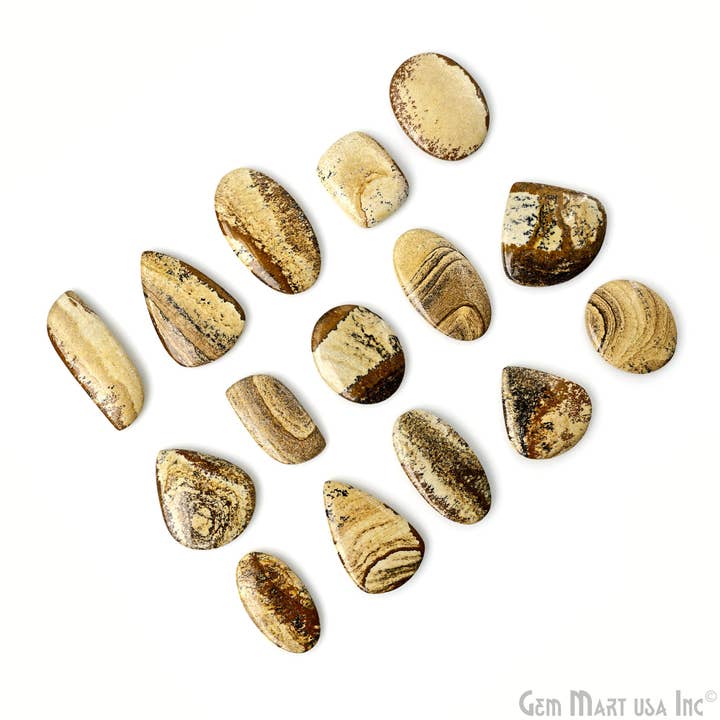 GemMartUSA - Wholesale Spiritual Stone/Crystal - Picture Jasper Mix Shape Cabochon,March Birthstone 2-2.5inch