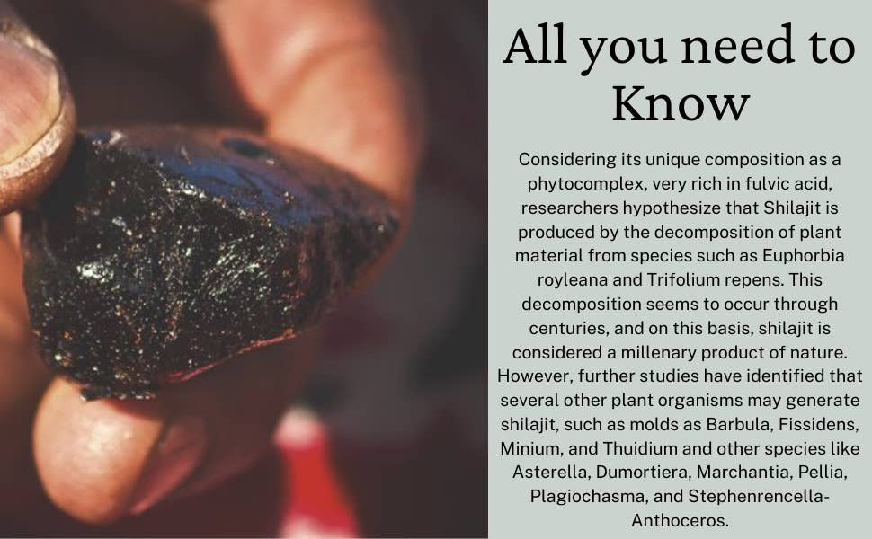 Sunbelt Traders - Wholesale Oral Supplement/Vitamin - Organic Himalayan GOLD Shilajit Gummies with Manuka Honey 7