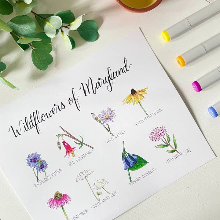 Wildflowers of Maryland | Recycled Cardstock Print for wholesale by D. Prince Designs