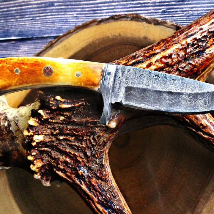 Damascus Steel Fixed Blade hunting Knife with Damascus Hilt Titan Drop Point Hunter TD-077 for wholesale by Titan International