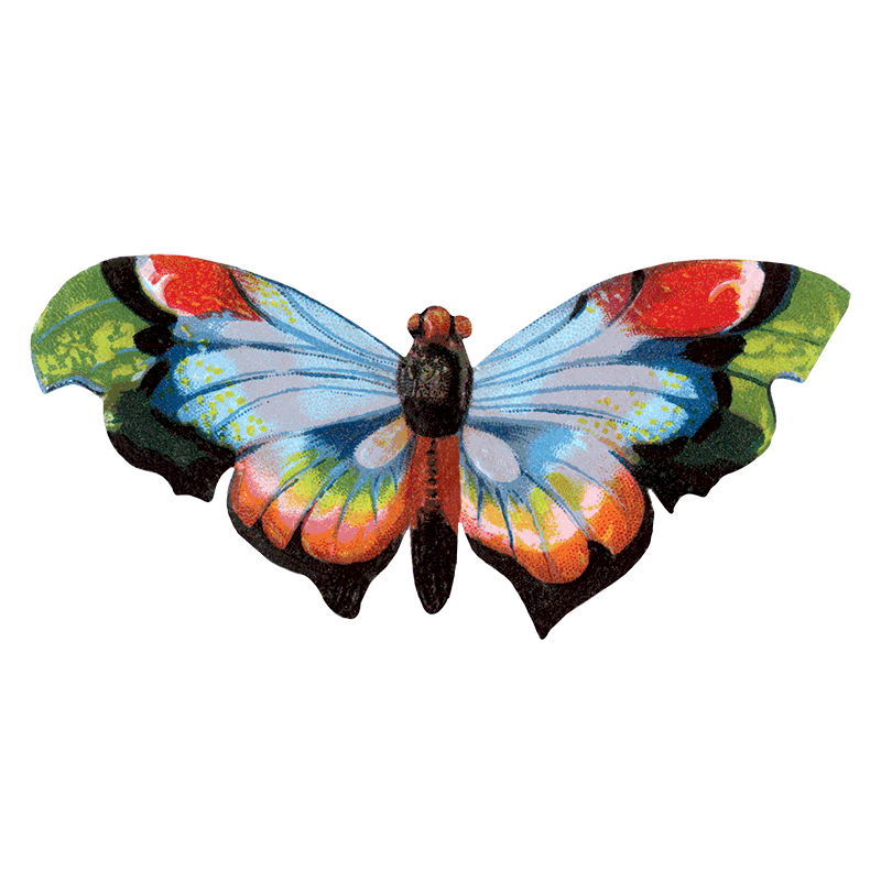 Laughing Elephant – Großhandel Aufkleber – Butterfly Box — Stickerbox für den täglichen Gebrauch6