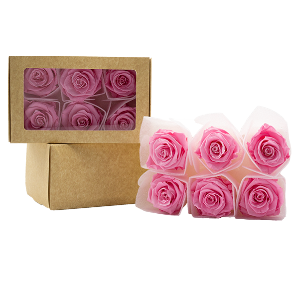 Concari.flores Preservadas - Wholesale Artificial Flowers - SPLENDID ROSE PRESERVED IN VARIOUS SHADES1