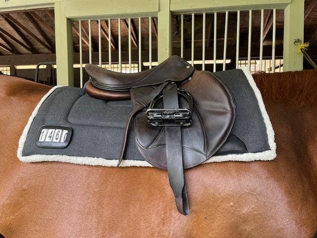 DziaSport - Wholesale Horseback riding gear - Happy-Back Saddle Pad