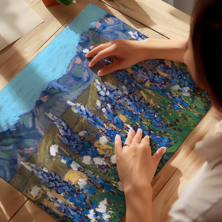 El Baker Art - Wholesale Art Print - Bluebonnets Big Bend National Park Art Print3