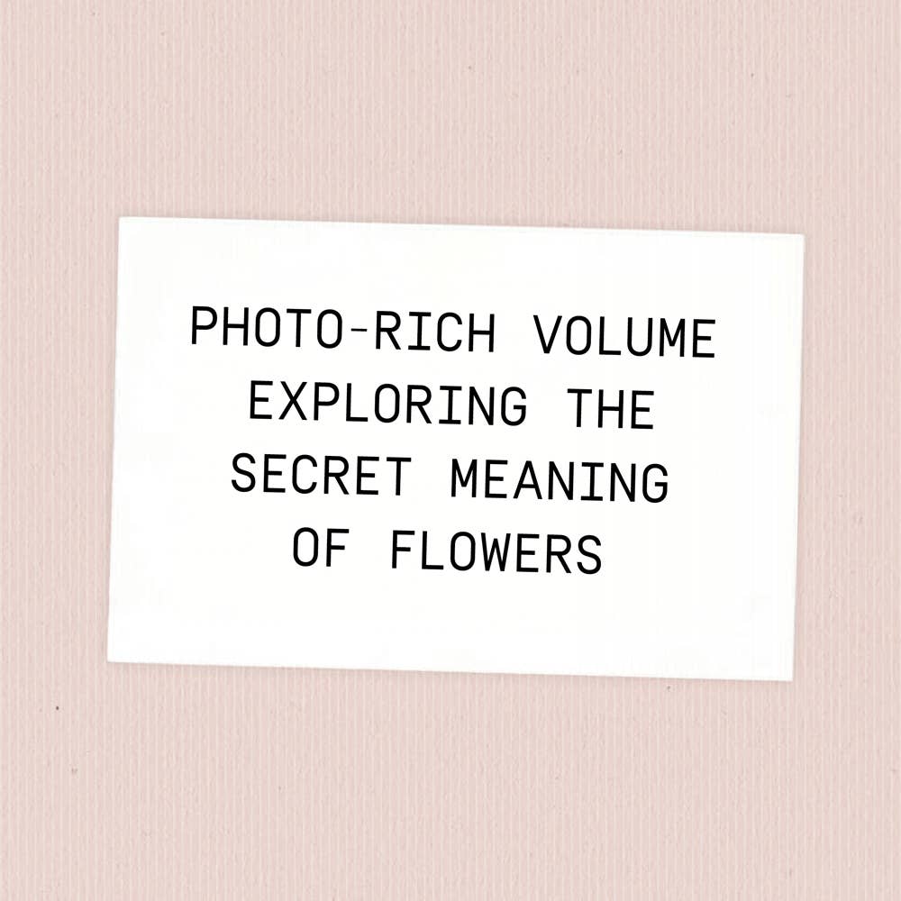 Chronicle Books - Wholesale Home & Garden - Say It with Flowers8