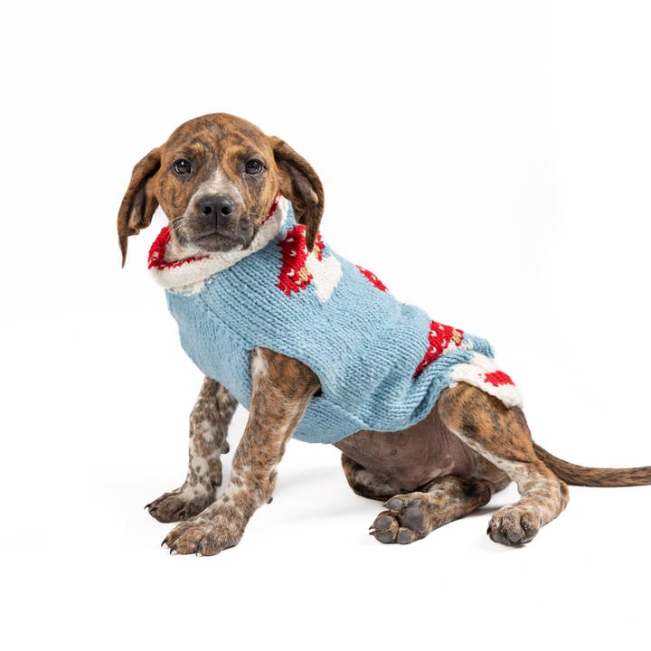 CHILLY DOG LLC - Wholesale Pet Sweater - Dog - Mushroom Sweater