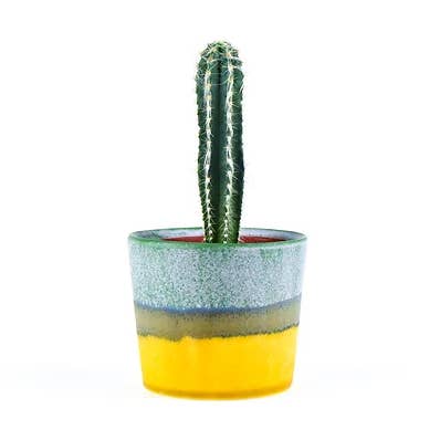 SGW Lab Plant Pot GT015 for wholesale by SGW LAB