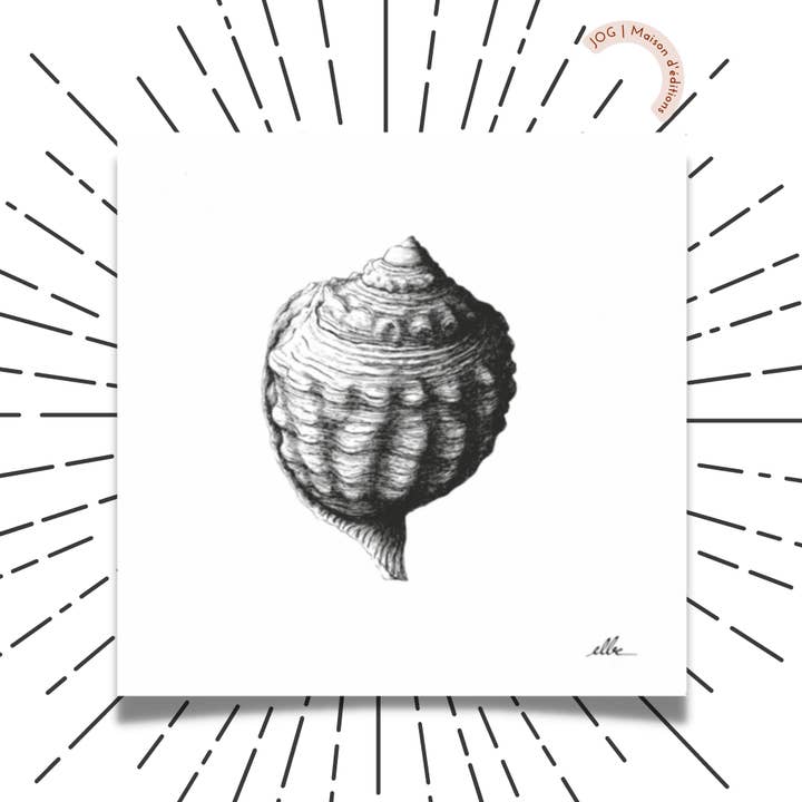 Poster - The Shells 2/3 - Elbe for wholesale by JOG | Maison d’éditions