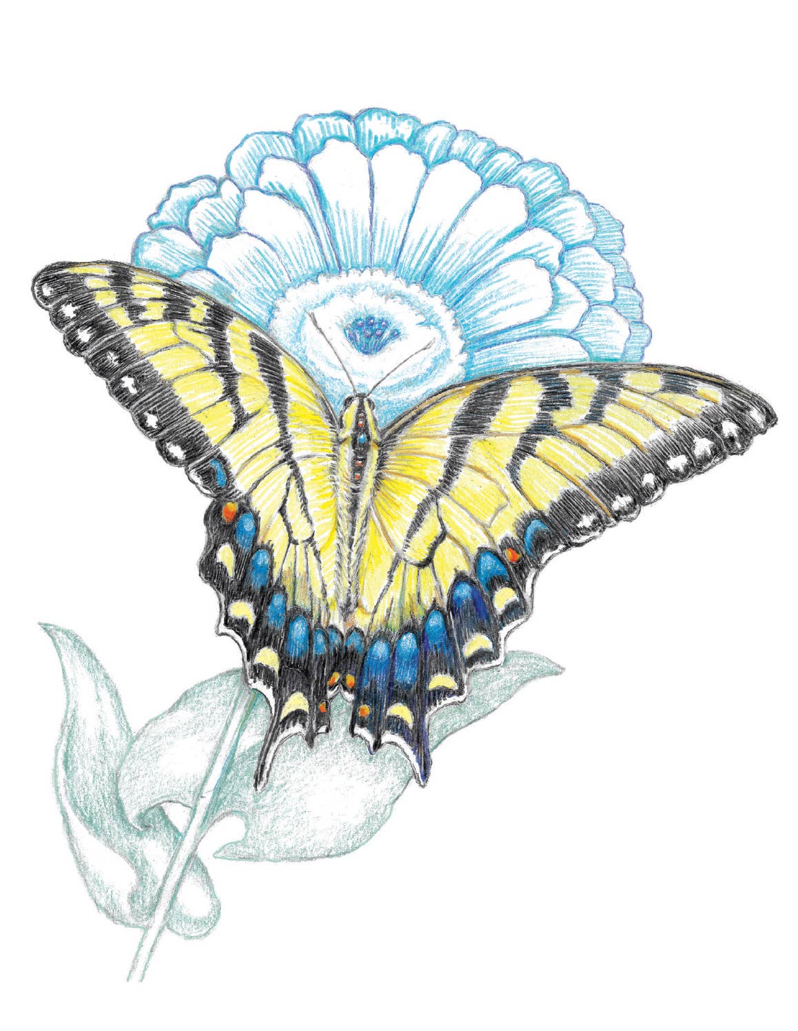 REMOVED BRAND - Wholesale Stationery/Notecard Set - Garden Butterfly - Boxed Set0