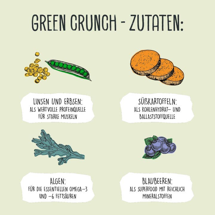 VEGDOG - Wholesale Pet Food - Dog - GREEN CRUNCH dry food