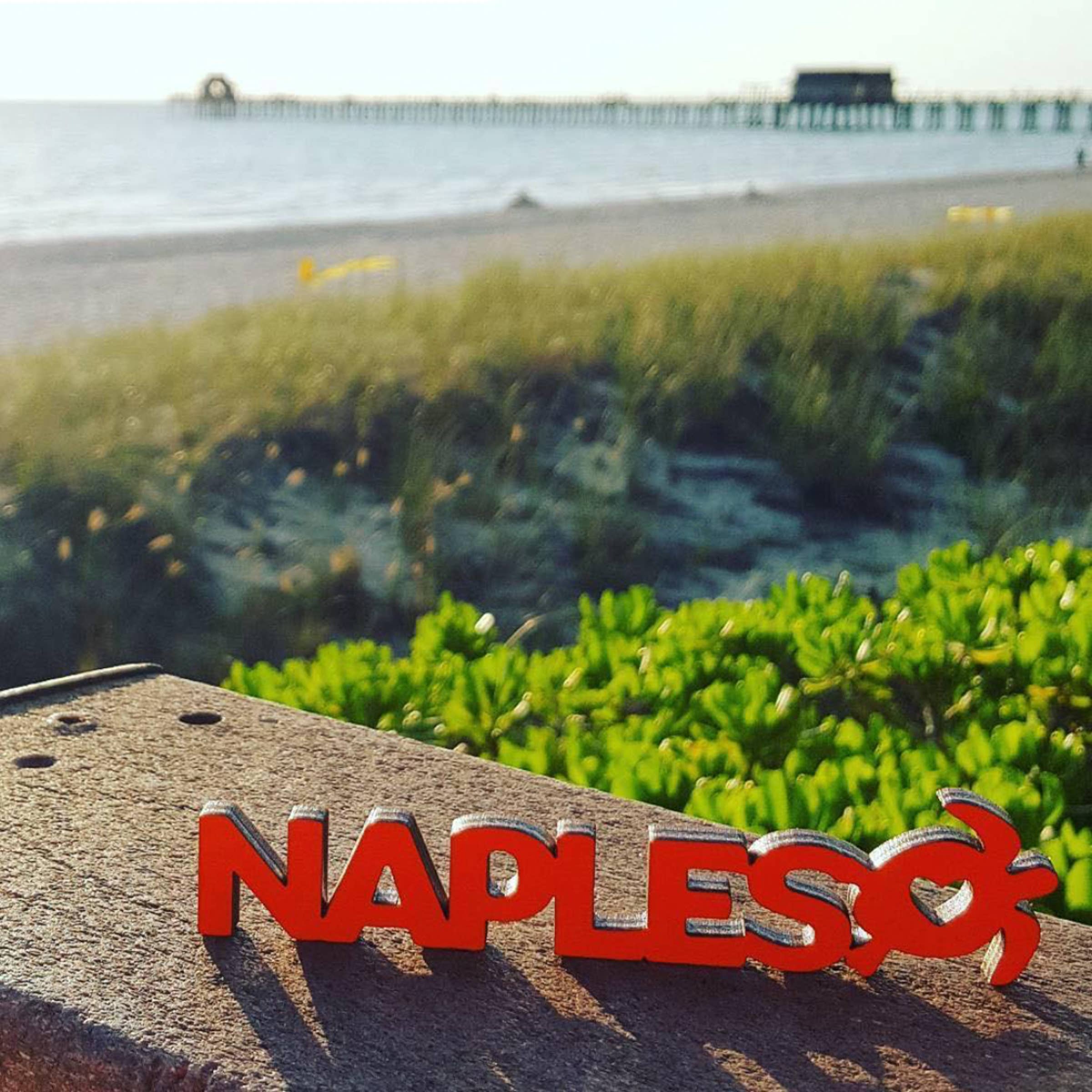 Spunky Fluff - Wholesale Magnet - Custom Tiny Word Magnets, Personalizable Wood Magnets19