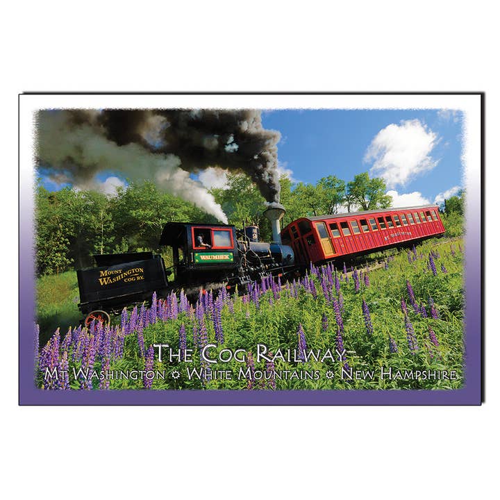 #9052 Waumbek Lupin Postkort for engroshandel hos White Mountain Images