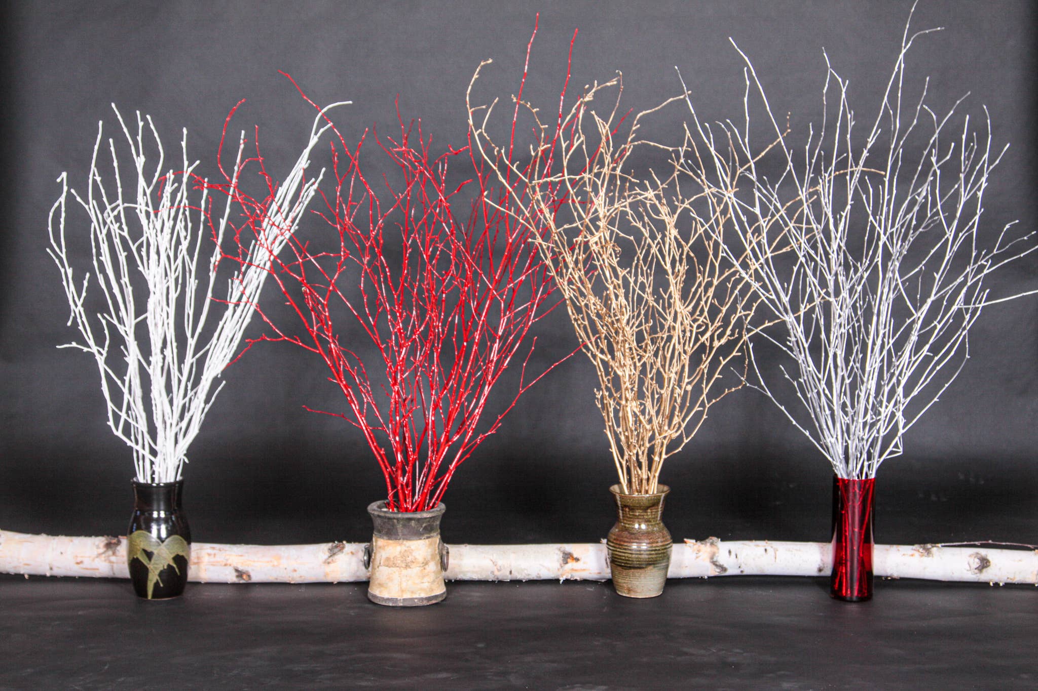 Winter Woods - Vente Fleur séchée/pressée - Branches de bouleau colorées3