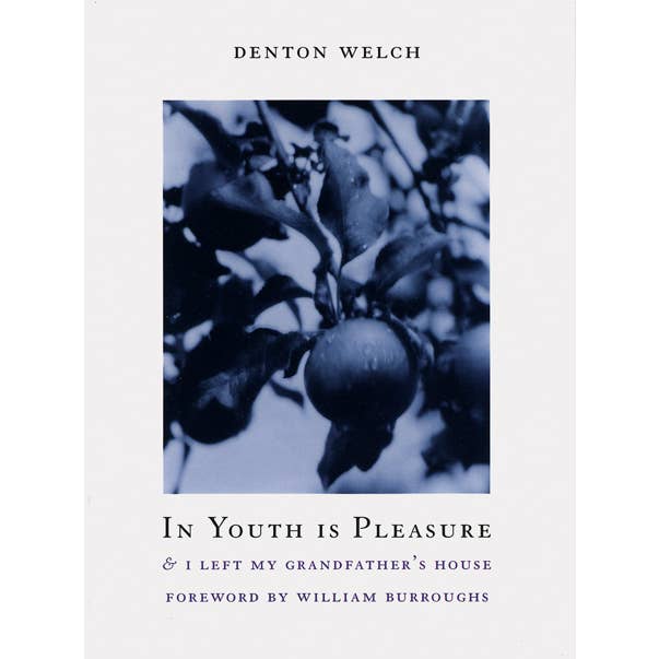 ARTBOOK | D.A.P. - Wholesale Contemporary & Literary Fiction - In Youth Is Pleasure