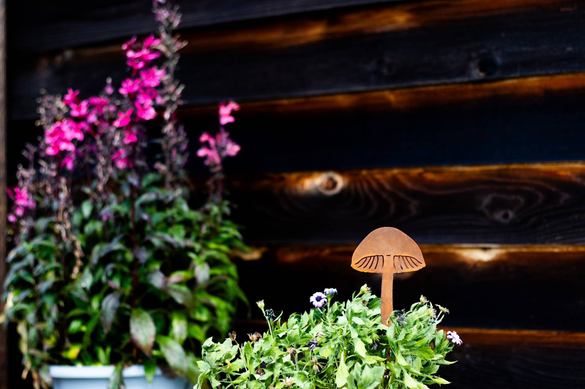 Elegant Garden Design - Vente Piquets de jardin/pelouse - Piques à champignons - Lot de cinq13