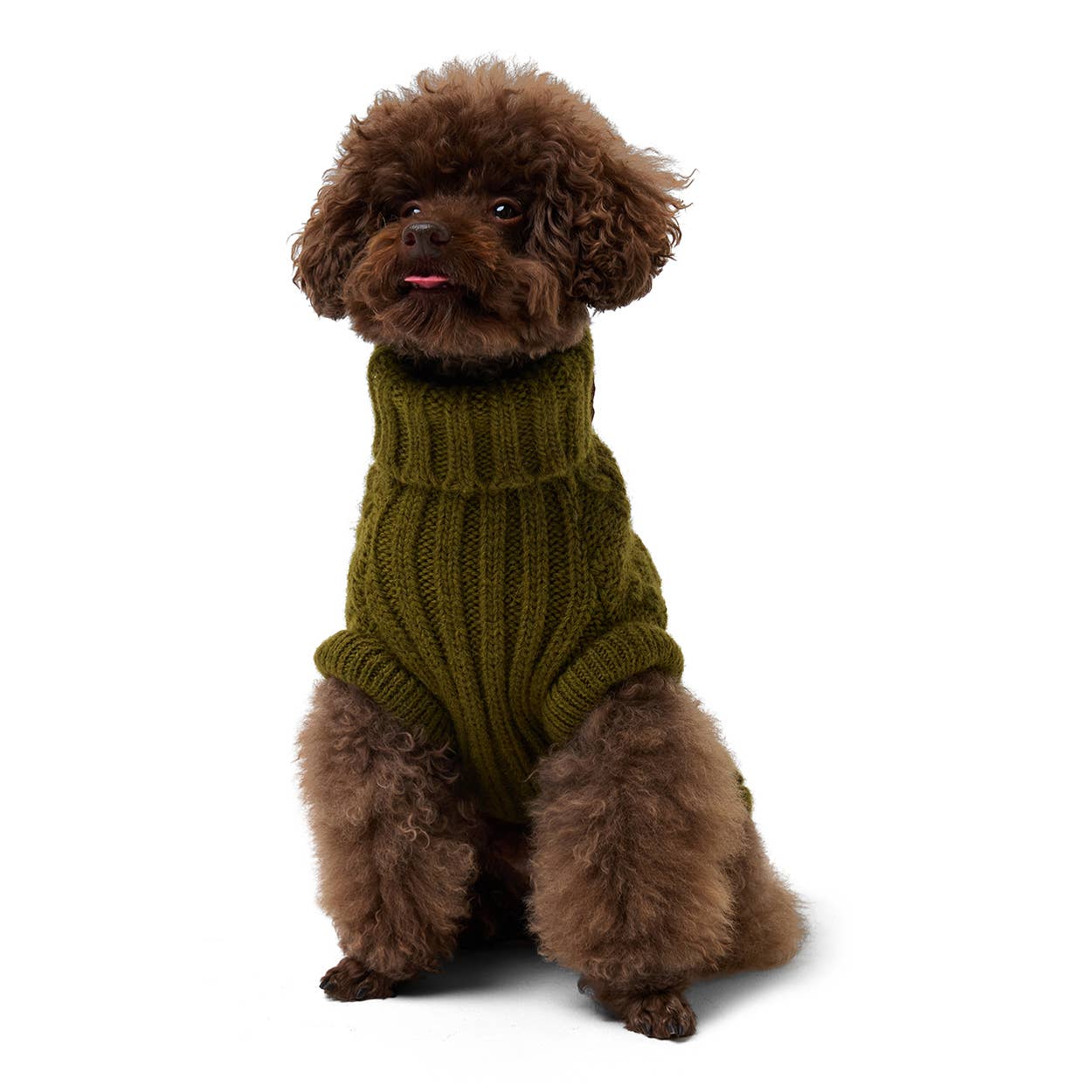 Furmey – Engroshandel Sweater - Hund – Fed Ærlig John Green