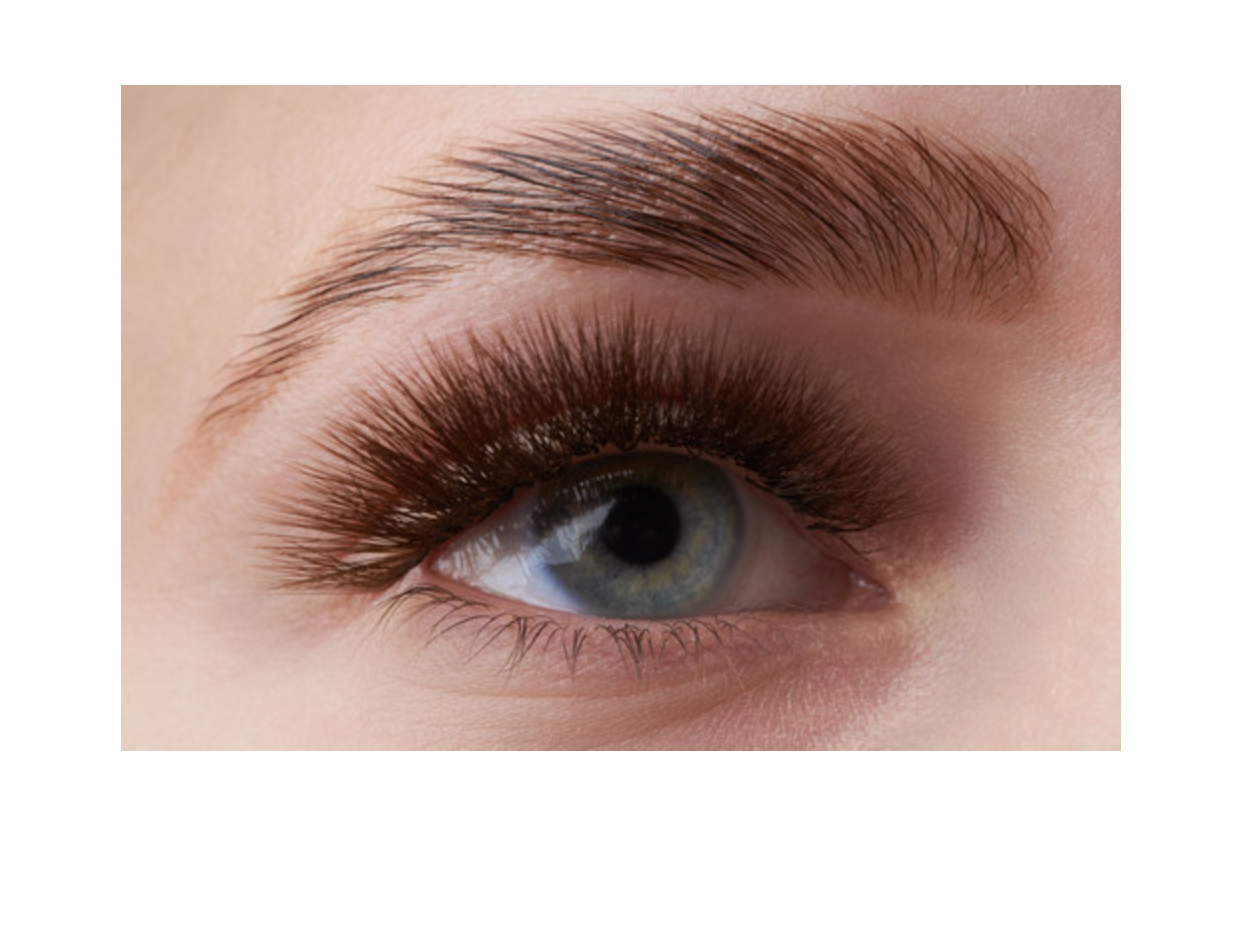 Lash Stuff - Wholesale Eyebrow Set/Kit - Professional Brow Lamination Kit with Training1