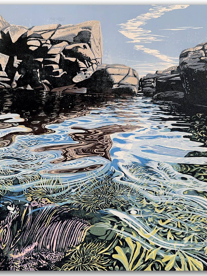 NC409 Rockpool - Hazel McNab for wholesale by Cardiau Nico Cards