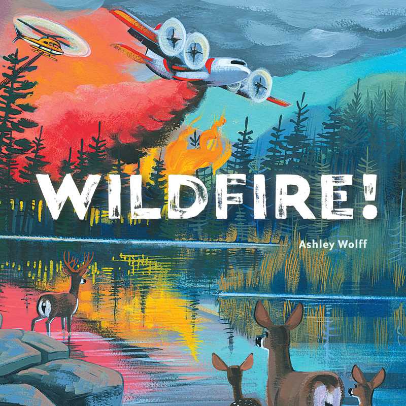 Simon & Schuster - Wholesale Preschool Book (3-5) - Wildfire! by Ashley Wolff0