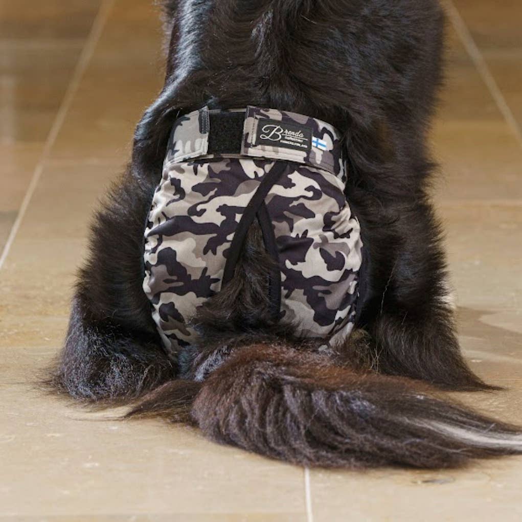 FINNERO - Wholesale Pet Diaper - Dog - FINNERO BRENDA Dog Hygiene pants, 3 colors, Washable Diaper6