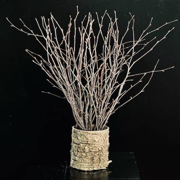Decorative Branches Wholesale
