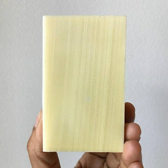 Castille nue pour la vente par Fern Valley Botanics