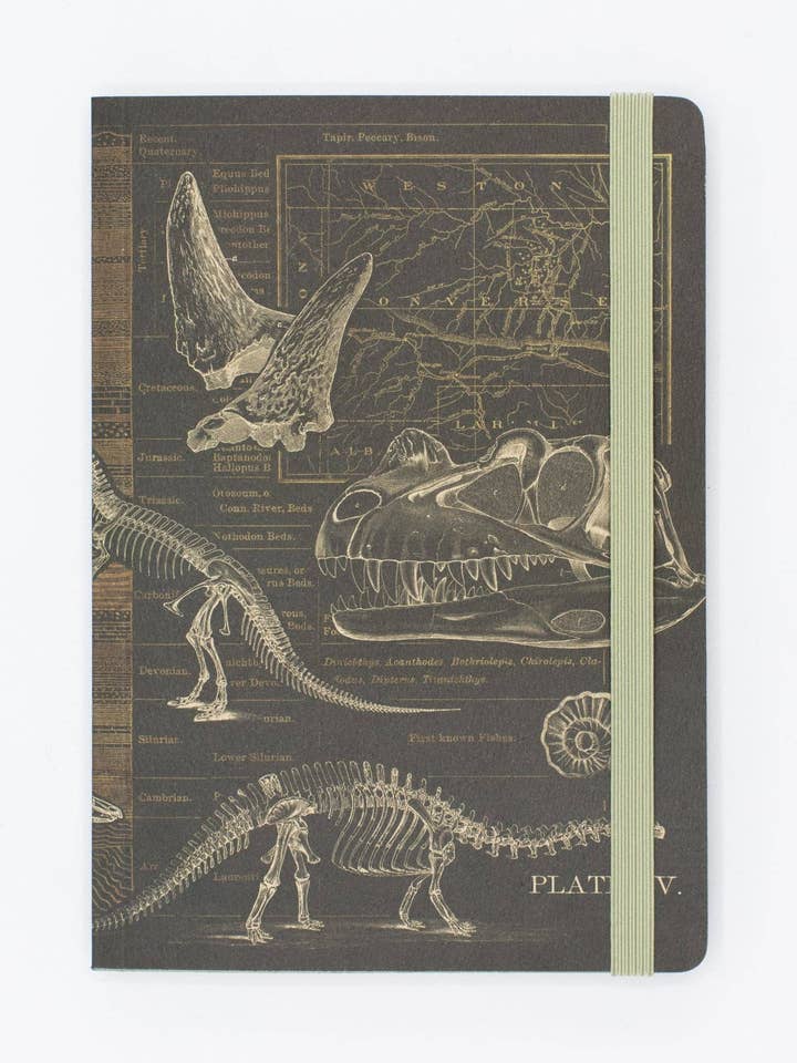 Ossos de Dinossauro A5 Capa Mole (Caixa de 6) por atacado de Cognitive Surplus EU