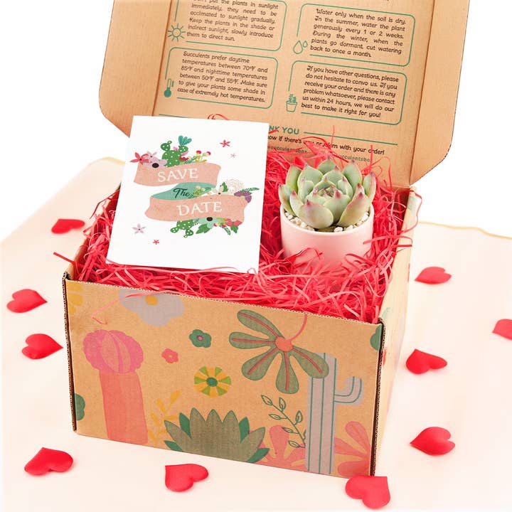 Best Plant Friend - Wholesale Gift Box - Valentine Gift Box - 1 Succulent - Gift Boxes Ideas For Her