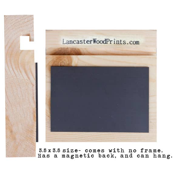 Lancaster Wood Prints - Wholesale Art Print - 3x3 SoCal Palms3