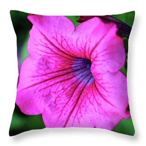 “THE MACRO PORTRAIT WINDS FLOWERS” PILLOW for wholesale by sorayadapuzzostore