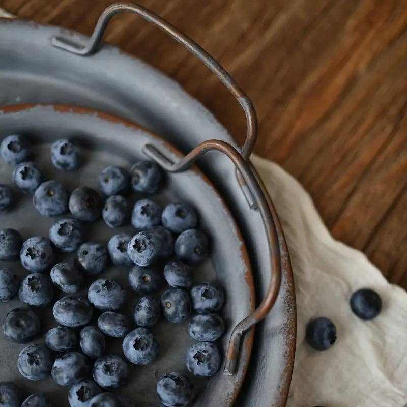 Huis Van Merken - Wholesale Serving Tray - Vintage inspired iron serving tray with handles3