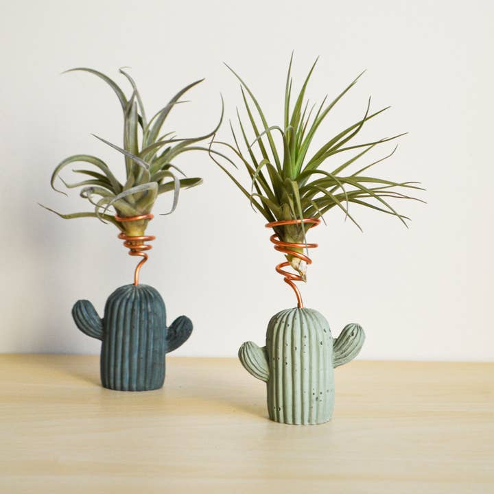 LindaMakess - Wholesale Plant Pot - Small Cactus Airplant Holder3