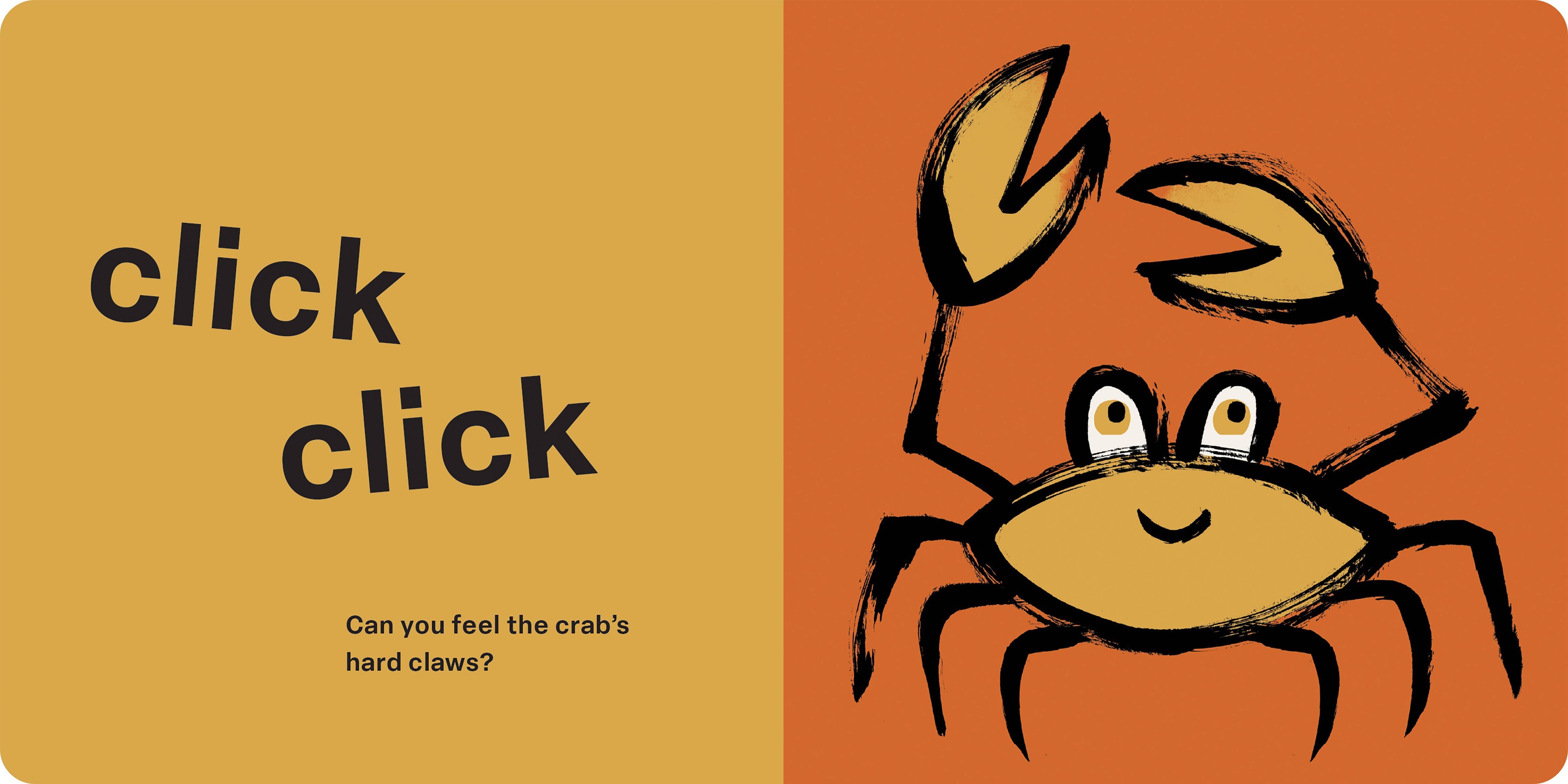 Hachette Book Group - Wholesale Baby & Toddler Book (0-2) - Spring Street Touch and Feel: Ocean by Boxer Books7