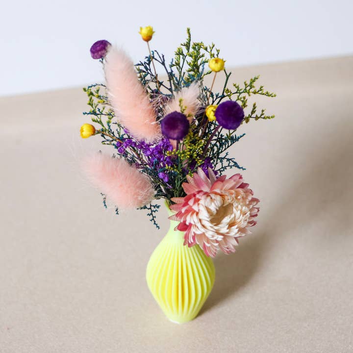 Central Market Flowers - Wholesale Dried/Pressed Flowers - Bitty Bloom Magnets - Assorted4