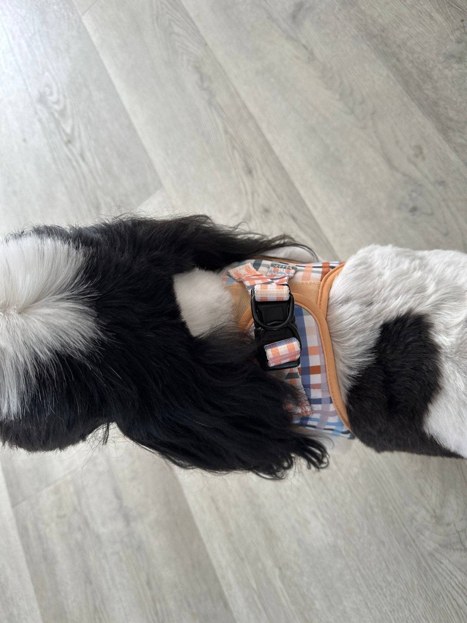 Dizzy Dog Collars - Wholesale Pet Harness - Dog - Step In Dog Harness: No Pull Harness | For XS to Medium Dogs & Cats | Vintage Gingham6