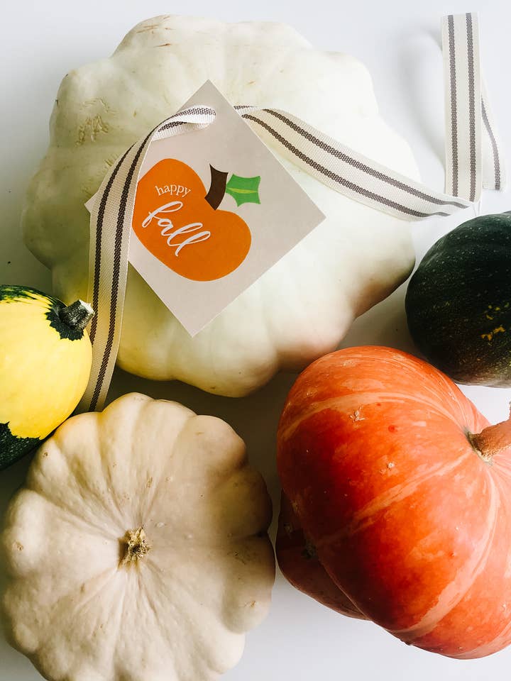 Étiquette cadeau Happy Fall Pumpkin pour la vente par Happiernotes