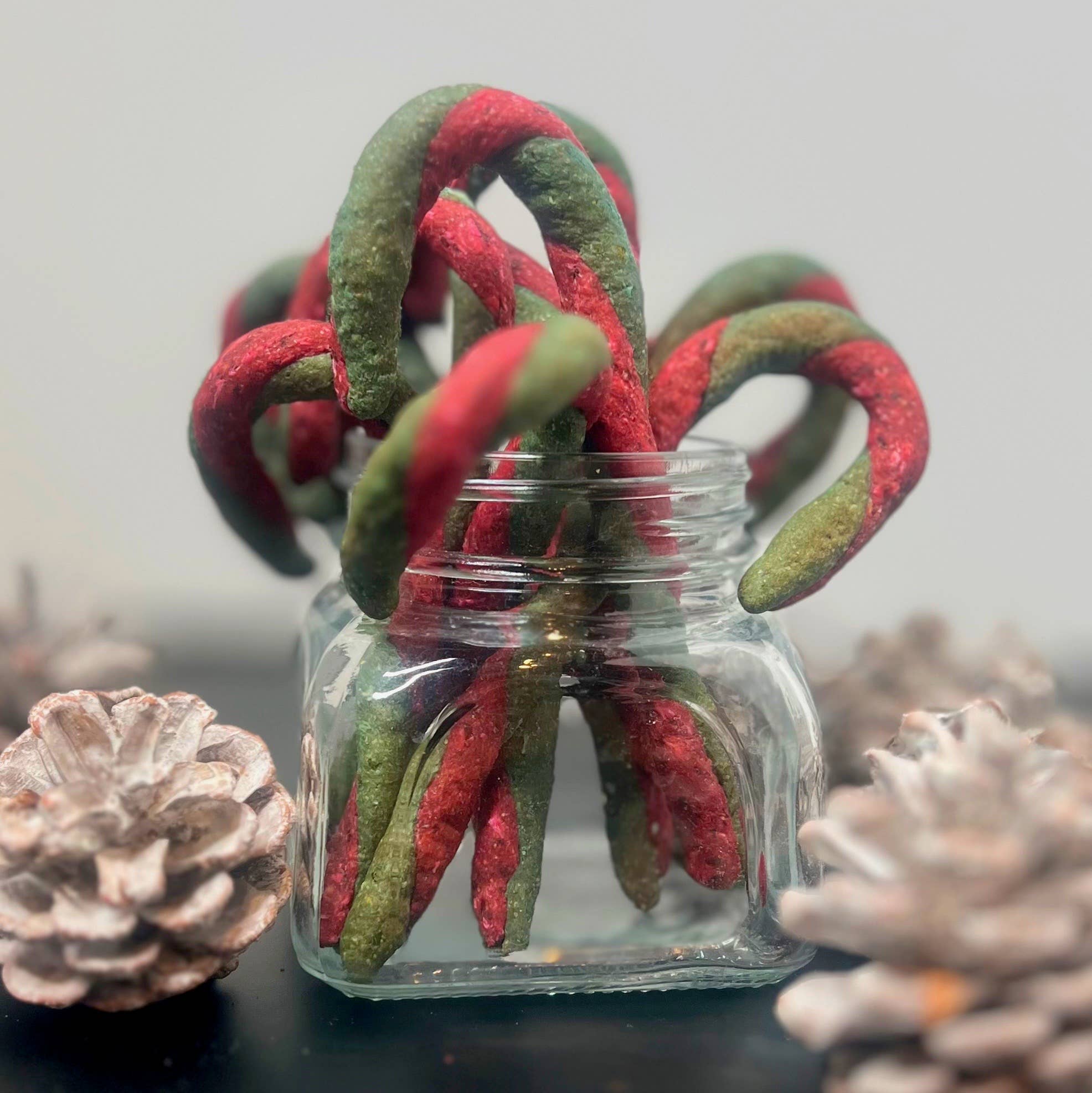 The Barkery - Wholesale Pet Treats - Dog - Pup Canes – Healthy Christmas Treats for Dogs2