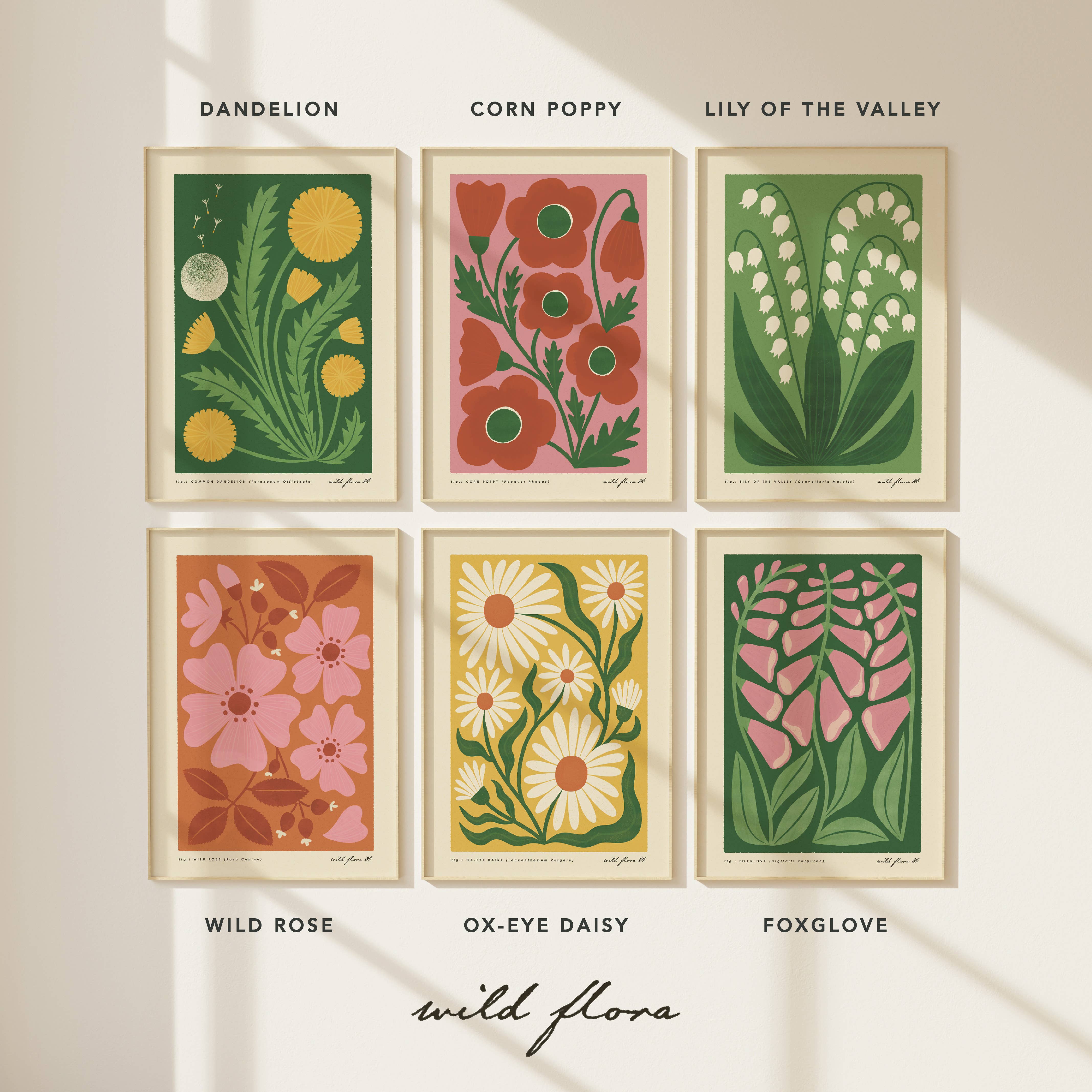 Bird & Co Studio – wholesale Art print – Wild Rose | Modern-Retro Wildflower Art Print | Wall Decor4