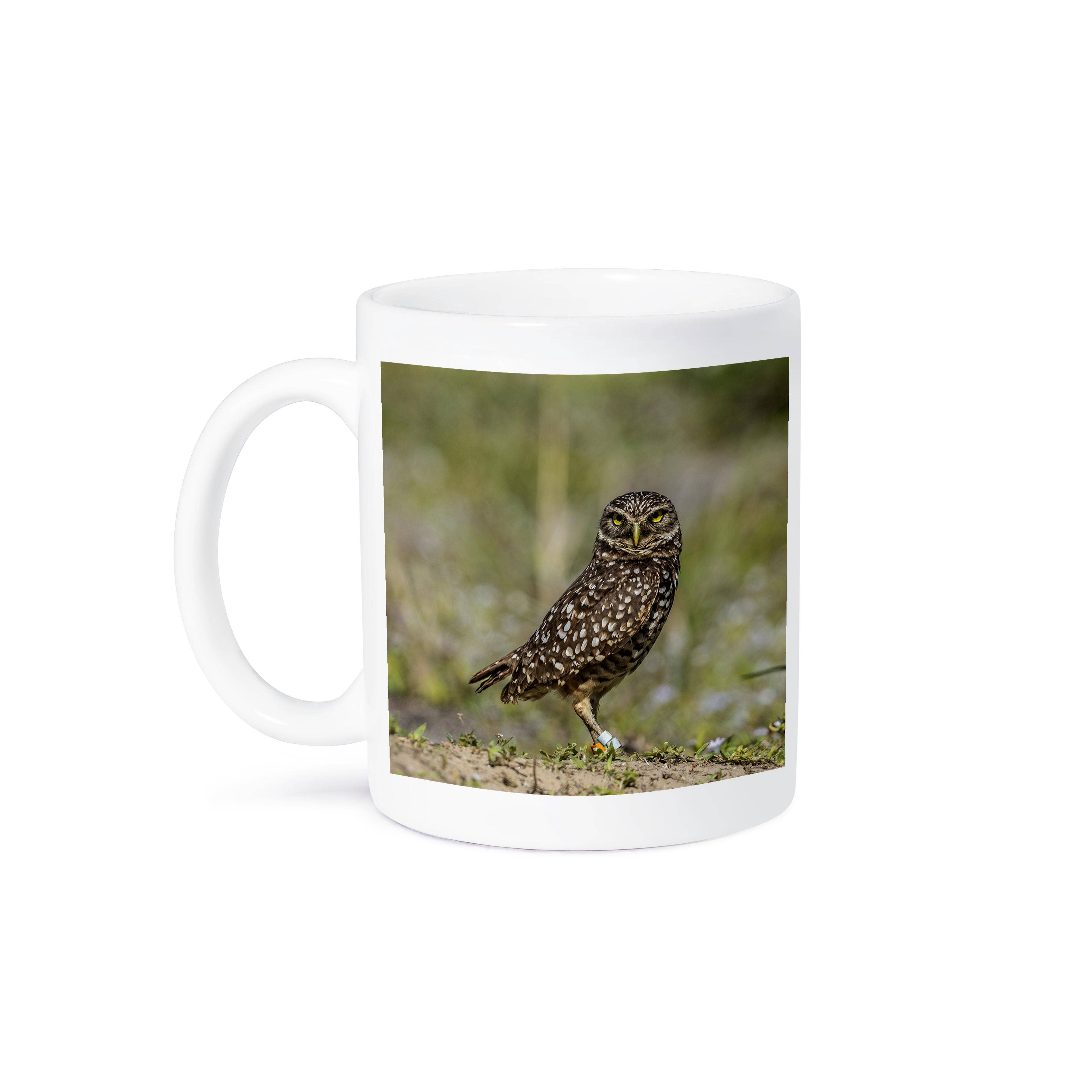 3dRose - Wholesale Coffee Mug - 3dRose, An adult burrowing owl looks on., Mug8