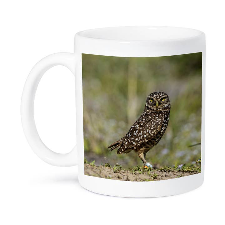 3dRose - Wholesale Coffee Mug - 3dRose, An adult burrowing owl looks on., Mug8