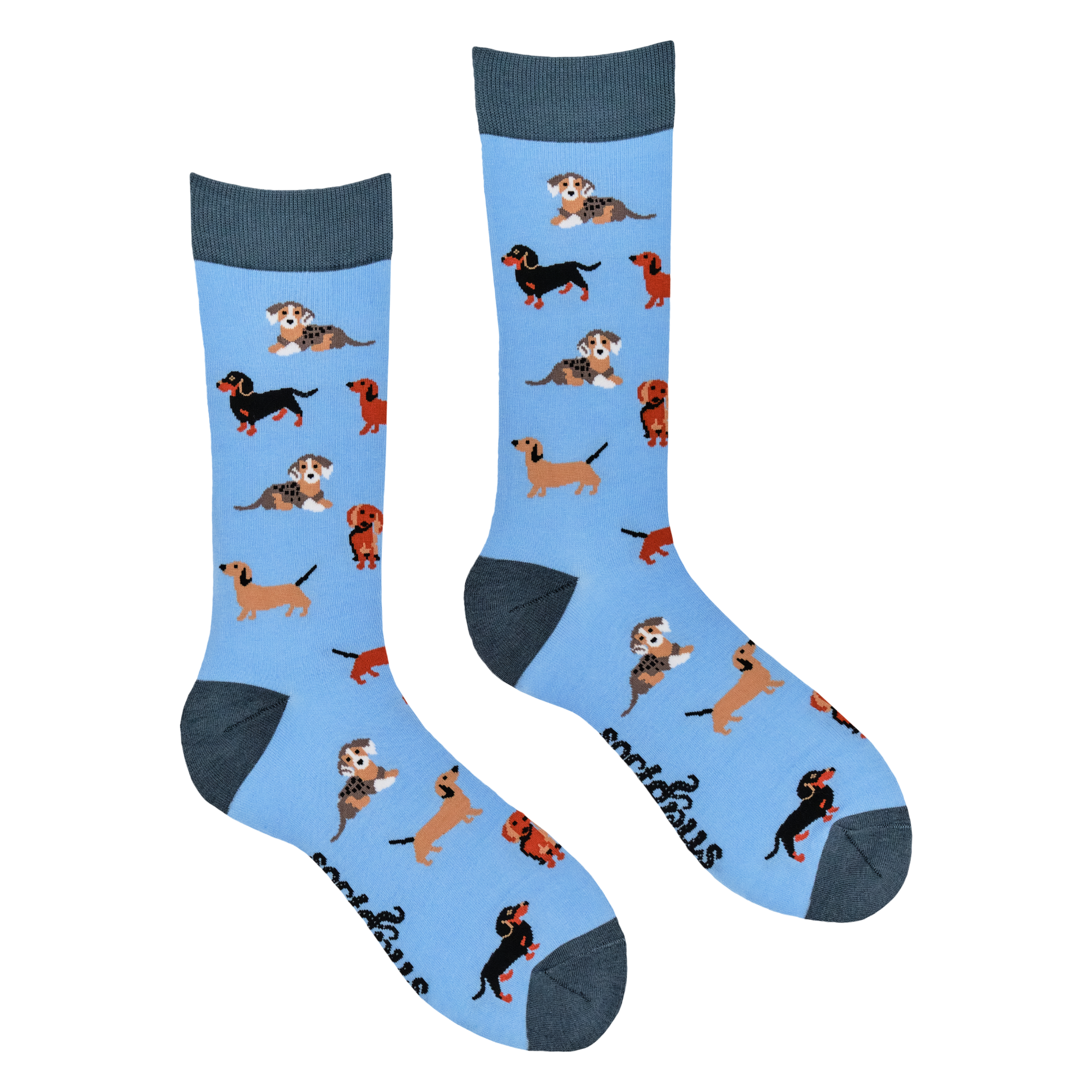 Socktopus - Vendita all'ingrosso Calzini - Unisex - Calzini per cani Sausage - Dasching Around 22